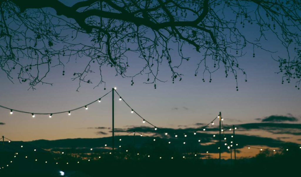 A dusk skyline with tree branches and string lights